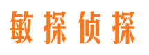 宜秀敏探私家侦探公司